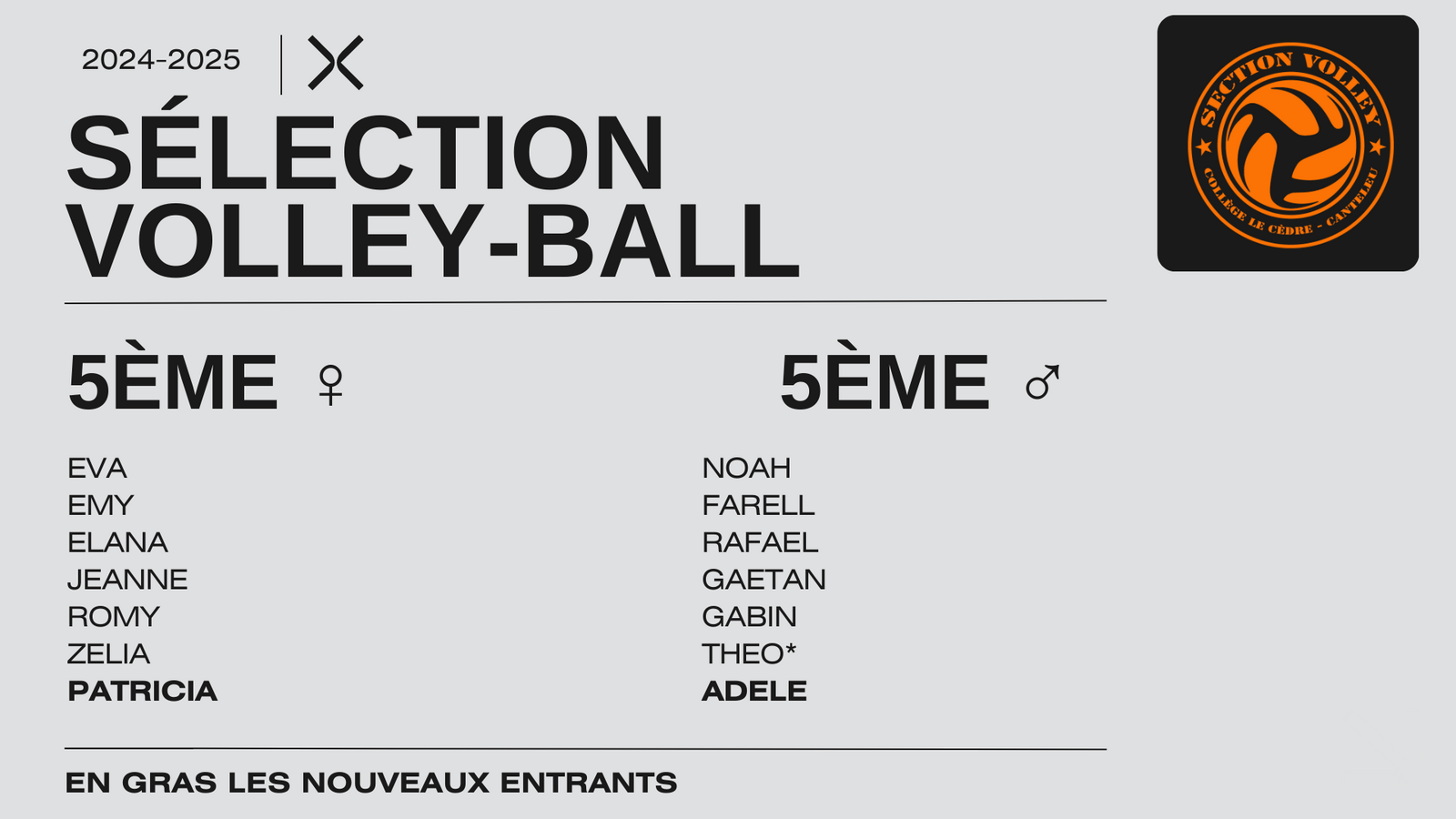 Sélections Volley-ball CM2 et 6ème